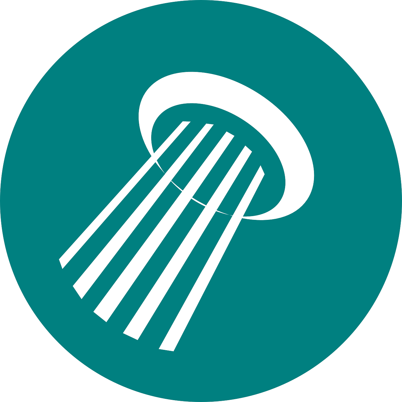 sistema de chuveiro em n&iacute;quel polido