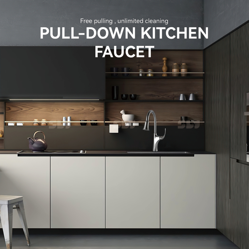 Sly New Design 304 Aço inoxidável Pulvedor de aço para baixo torneira de cozinha para casa