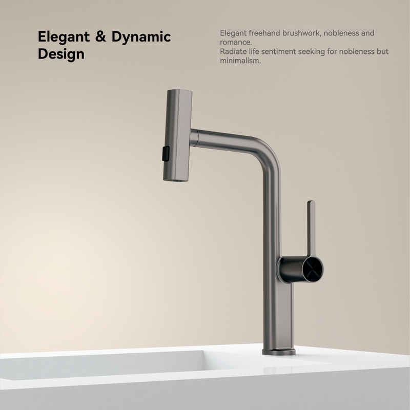 Torneira de cozinha moderna de água fria de Holy Holo