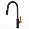 Torneira de pia cromada astíssima com pulverizador de montagem na parede Torneira de cozinha Pull Out Kitchen