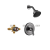 Conjunto de torneira de chuveiro astíssimos Conjunto de mistura de sistema de montagem de parede Brass