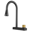 Sly Matte Black Pull Out Kitchen Torneira